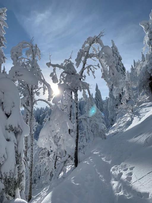 Stube9 Am Feldberg, Direkt An Der Skipiste, Ski In-Ski Out Feldberg  Ngoại thất bức ảnh