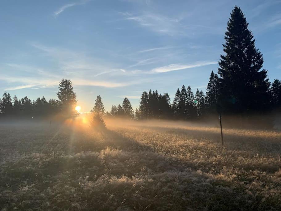 Stube9 Am Feldberg, Direkt An Der Skipiste, Ski In-Ski Out Feldberg  Ngoại thất bức ảnh